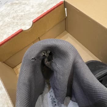 Hummel Ayakkabıda Kalite Sorunu Ve Garanti Mağduriyeti