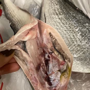 Carrefour SA Balık Reyonunda Düşen Hizmet Kalitesi