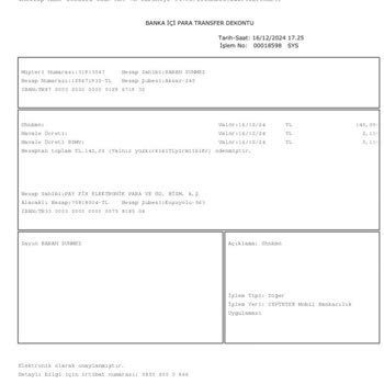 TEB Bankası'nda Para Transferi Sorunu