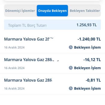 Çifte Doğalgaz Kesintisi Mağduriyeti