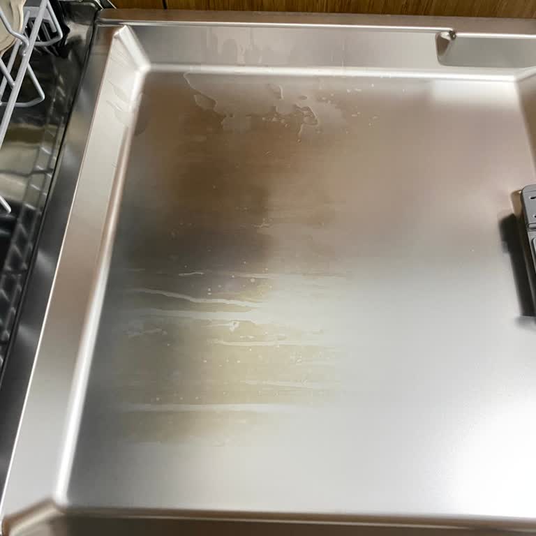 Bulaşık Makinesi Paslanma Sorunu Ve Yetersiz Servis