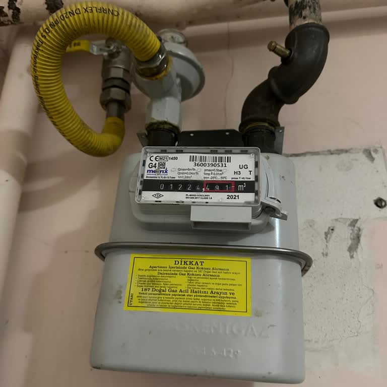 Yanlış Sayaç Okuma Nedeniyle Yüksek Fatura Problemi