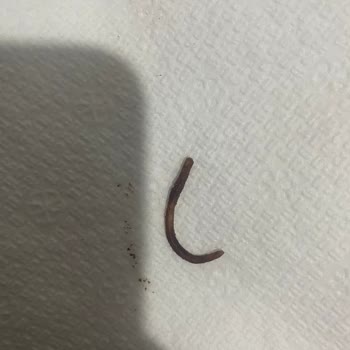 Kakaolu Fındık Ezmesinde Şok Edici Buluntu