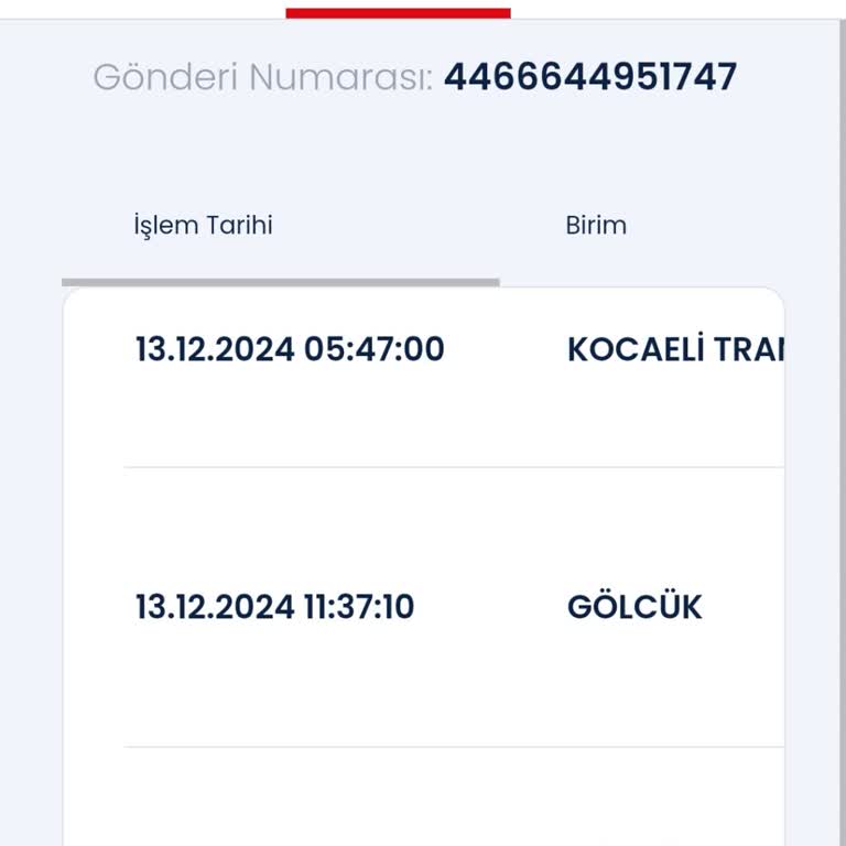 Aras Kargo Gölcük Şubesi Teslimat Sorunu