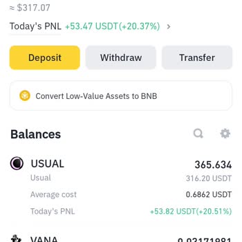 Binance Spot Cüzdanında FDUSD Görünmeme Sorunu