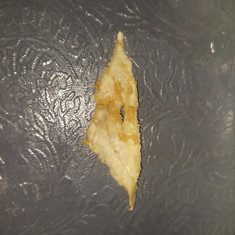 Doğum Günü Pastasında Hijyen Skandalı