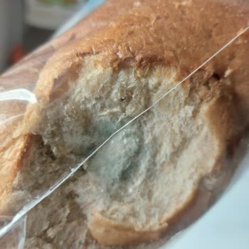 Küflü Ekmek Ve Görsel Yükleme Sorunu