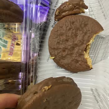 Ülker Halley'de Şok Edici Kurt Problemi!