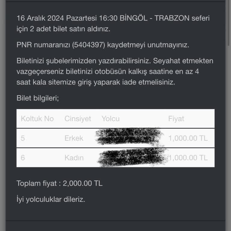Yolculuk Ortasında Bırakılan Yolcuların Mağduriyeti