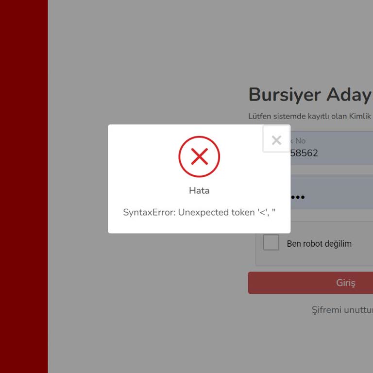 Burs Başvuru Sonucu Erişim Sorunu