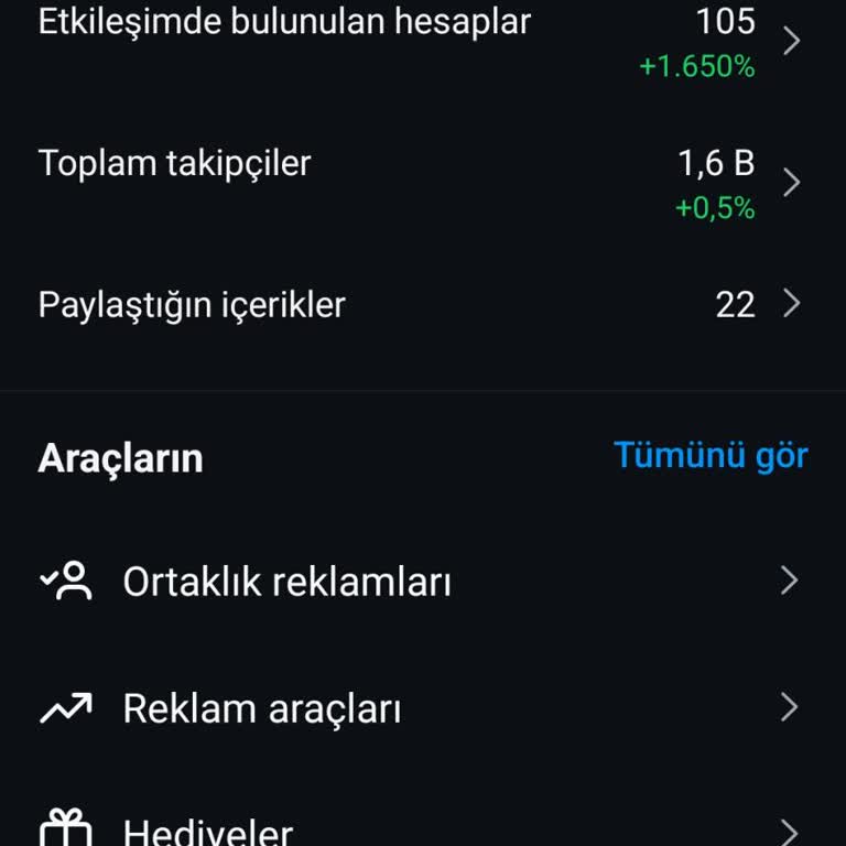 Instagram Profesyonel Hesap Sorunu: Başarılar Sekmesi Erişilemiyor