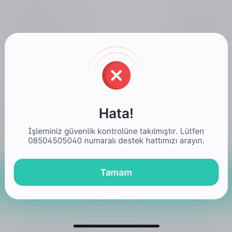 Hesap Güvenlik Kontrolü Ve Ücret Kesintileri Hakkında Acil Yardım Talebi
