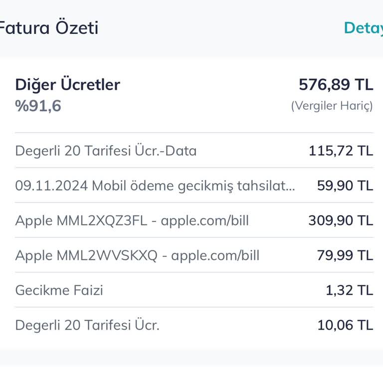 Apple Hesabımdan İzinsiz Para Çekilmesi