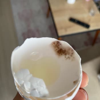 Küflü Yumurta Şoku