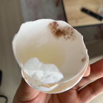 Küflü Yumurta Şoku