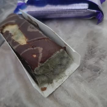 Küflü Rulo Kekle Karşılaşma