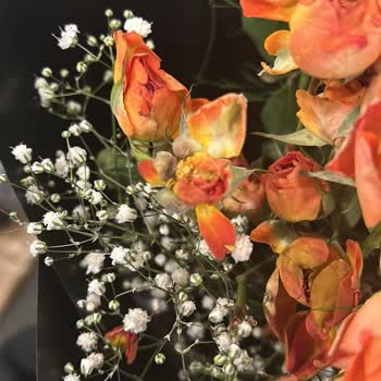 Çiçek Sepeti'nde Hayal Kırıklığı: Kusurlu Ürünler Ve Yetersiz Müşteri Hizmeti