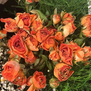 Çiçek Sepeti'nde Hayal Kırıklığı: Kusurlu Ürünler Ve Yetersiz Müşteri Hizmeti