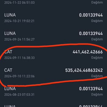 Binance TR Hediye Coinler Neden Yok Oldu?