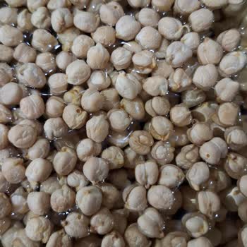 Taze Ürünlerde Böceklenme Şoku: Migros'tan Aldığım Nohutlar Mağduriyet Yarattı