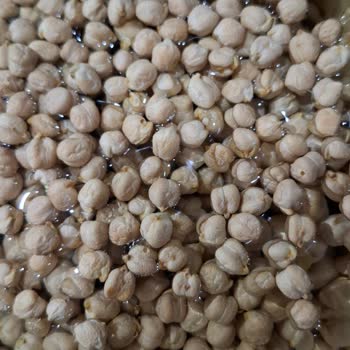 Taze Ürünlerde Böceklenme Şoku: Migros'tan Aldığım Nohutlar Mağduriyet Yarattı