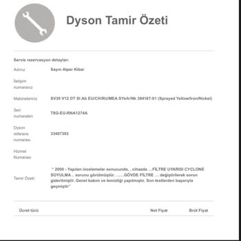 Dyson V12: Sürekli Filtre Hatası Ve Çözüm Arayışı
