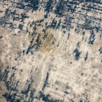 Süpürge Ürünü Hayal Kırıklığı Ve Zarar Verici