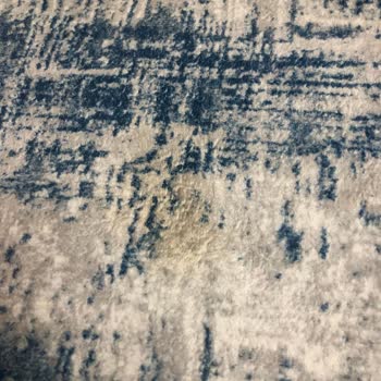 Süpürge Ürünü Hayal Kırıklığı Ve Zarar Verici