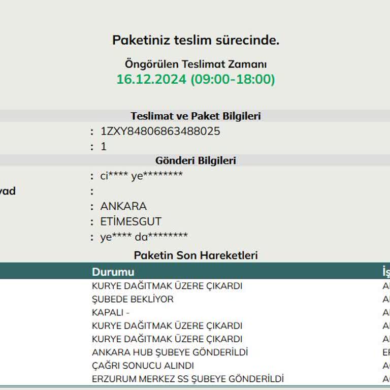 UPS Kargo Teslimatında Yaşanan Büyük Aksaklık