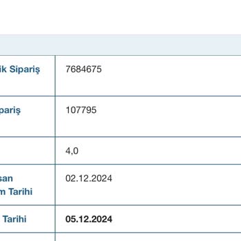 Borusan Lojistik: 15 Günlük Teslimat Gecikmesi