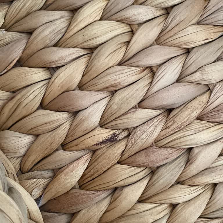 IKEA Bambu Ürünlerde Böcek Sorunu