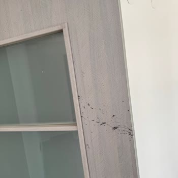 Sincan Saraycık TOKİ Daire Teslimatında Giderilmeyen Eksiklikler