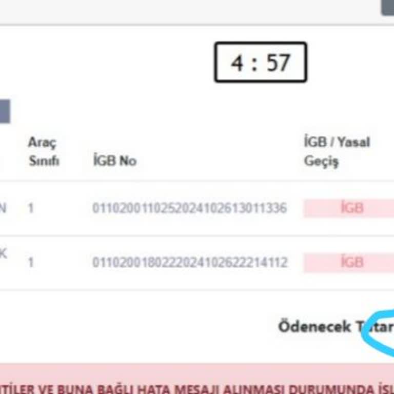 Hatalı HGS Ücretlendirmesi Ve Aşırı Borç Artışı