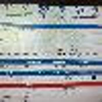 Kargo Ve Satıcı İlgisizliği: Çam Ağacı Teslim Edilemiyor