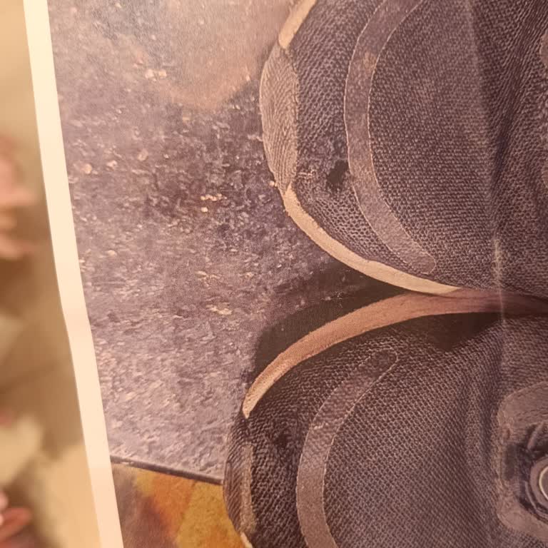 Deichmann Mağazasının Ayakkabı Garanti Sürecindeki Yetersizliği