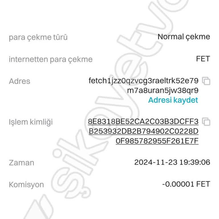 Bitget Fet Coin Transfer Delayed and Refund Not Reflected in My Wallet