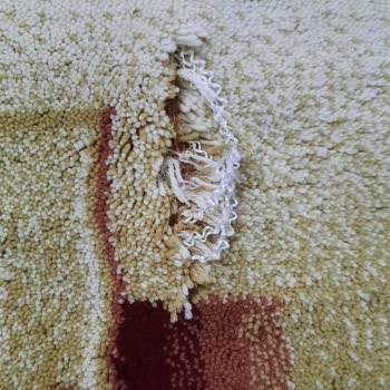 Halı Yıkama Sonrası Koku Ve Kesim Problemi