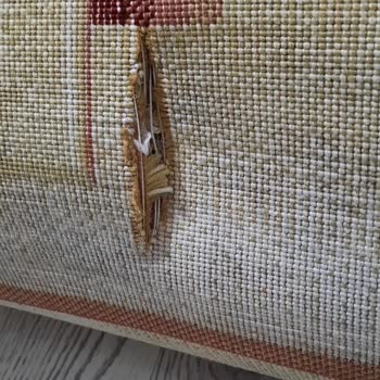 Halı Yıkama Sonrası Koku Ve Kesim Problemi