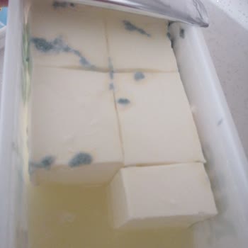 Bozuk Peynir İadesinde Şok Markette Müşteri Hizmeti Krizi