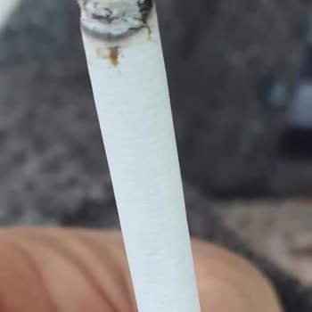 Marlboro Sigara İçindeki Yabancı Maddeler