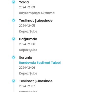 Kargo Teslimatındaki Aksaklıklar