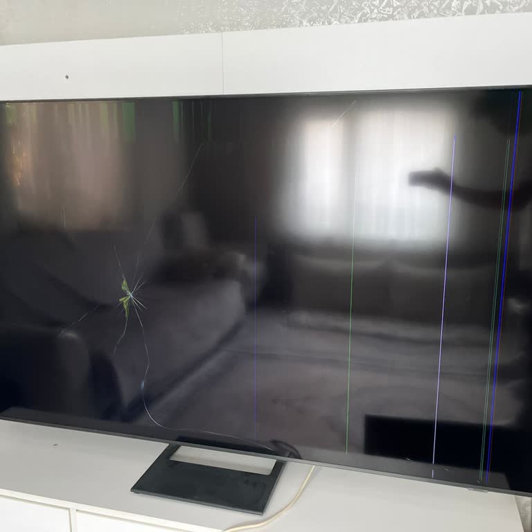 Samsung TV Panel Değişim Ücreti Şikayeti