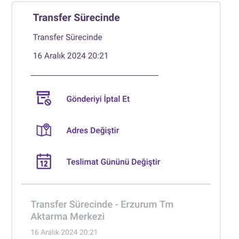 Yanlış Yöne Giden Kargo