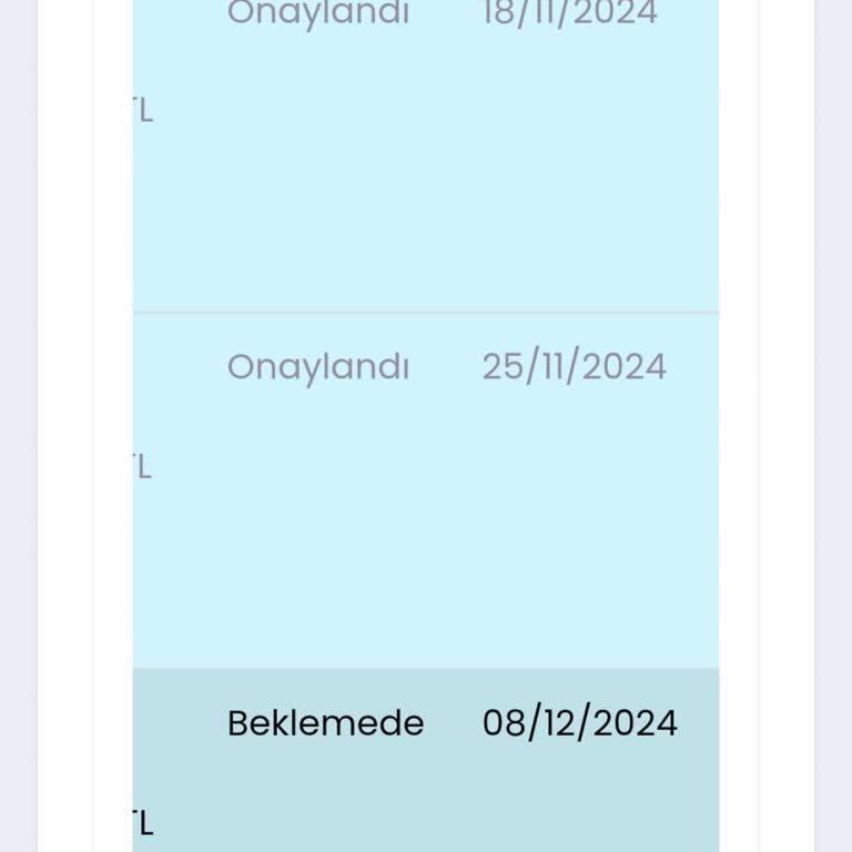 Mavi Anket Uygulaması Ödeme Sorunu