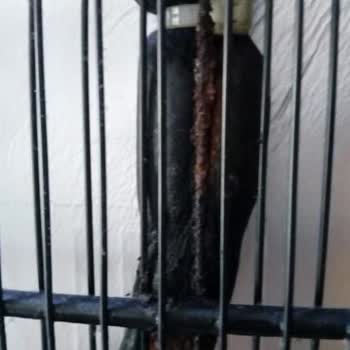 Arçelik Deep Freezer Broke Due to Design and Corrosion Issues After Warranty Ended