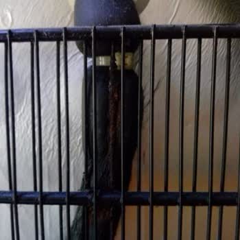 Arçelik Deep Freezer Broke Due to Design and Corrosion Issues After Warranty Ended