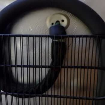 Arçelik Deep Freezer Broke Due to Design and Corrosion Issues After Warranty Ended