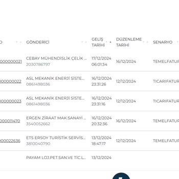 Ödeal E-Fatura Portalı Sorunu Ve İletişim Eksikliği