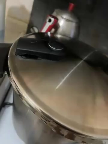 Fissler Pressure Cooker Bought 6 Months Ago Leaks Air Despite Proper Care video cover