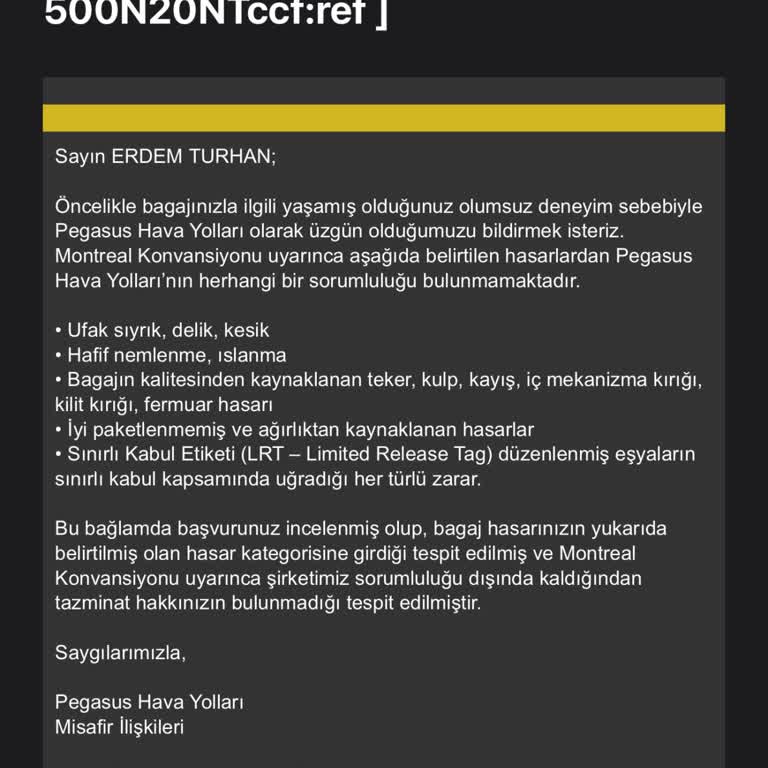 Pegasus Seyahatinde Bavul Mağduriyeti